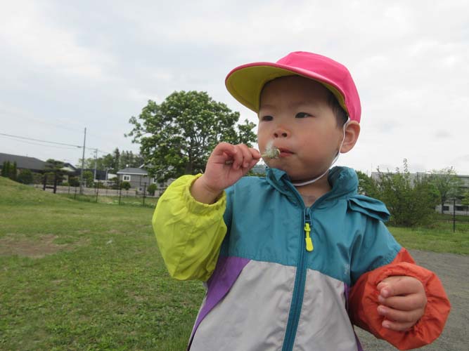5月のお誕生会と春の戸外遊びの様子