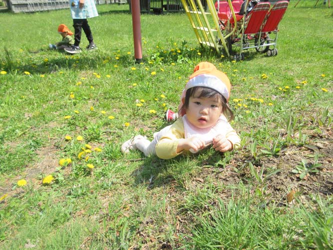 5月のお誕生会と春の戸外遊びの様子