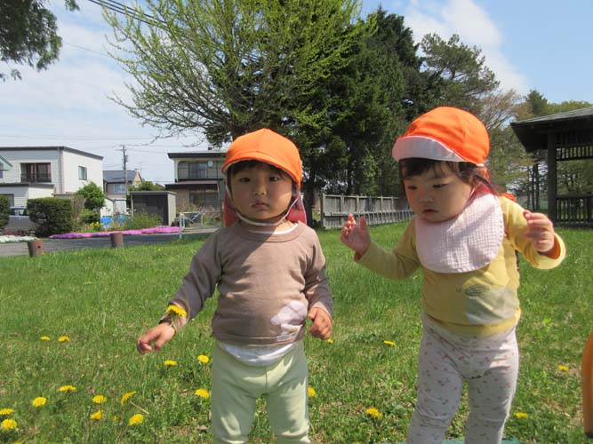 5月のお誕生会と春の戸外遊びの様子
