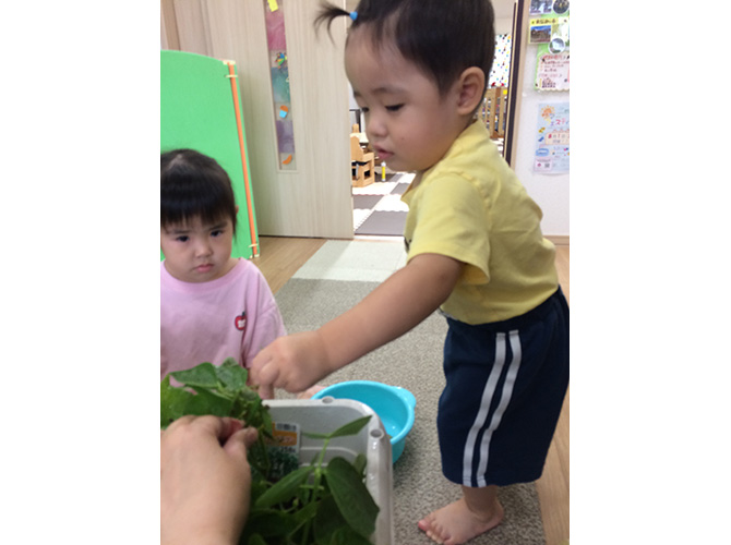 2026年夏のあそび★