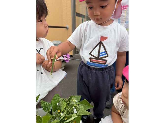 2026年夏のあそび★