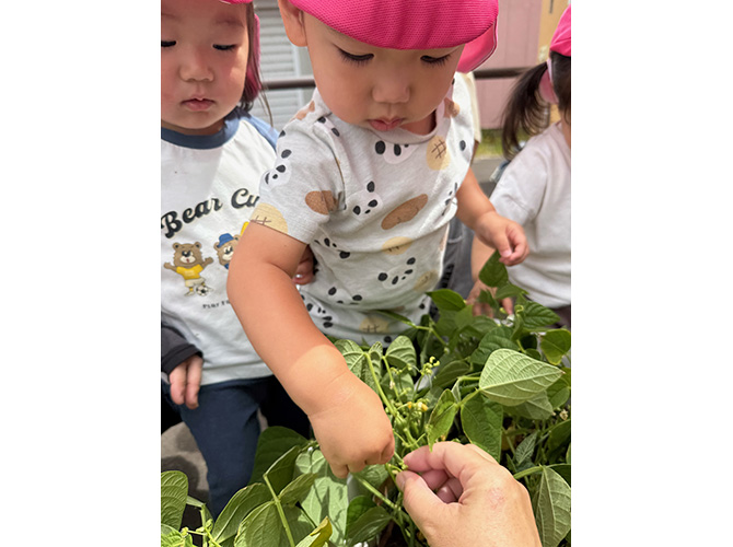 2026年夏のあそび★